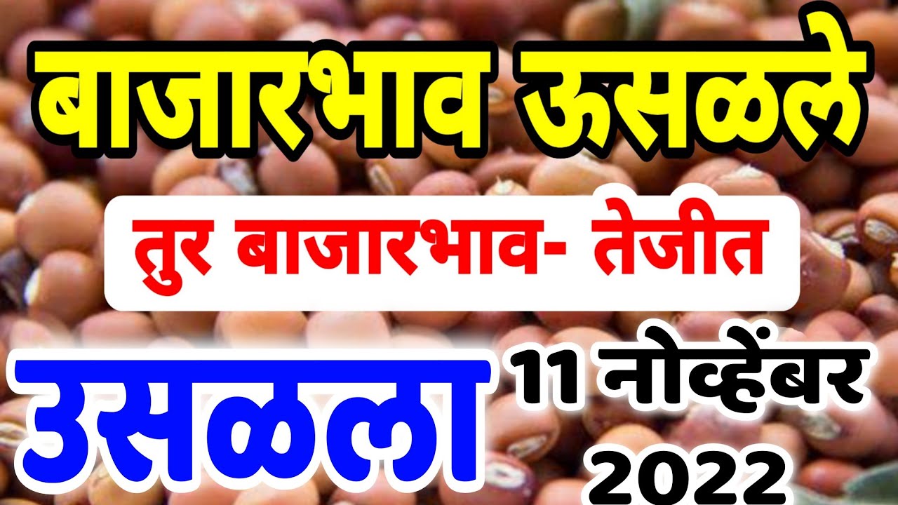 तुर बाजार भाव आणखी वाढण्याची चिन्हे/ आवक घटली 11 नोव्हेंबर 2022 tur market rate today YouTube