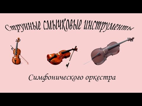 Струнные инструменты симфонического оркестра