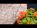 1SEC Everyday | 2019