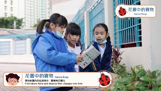 Publication Date: 2025-02-01 | Video Title: 花叢中的寶物 @大自然小偵探 Nature Detectiv
