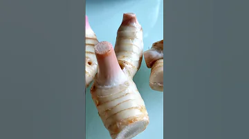 The Galangal 