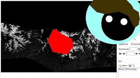 Remote Sensing#9 - ENVI Classification & Region of Interest Tools