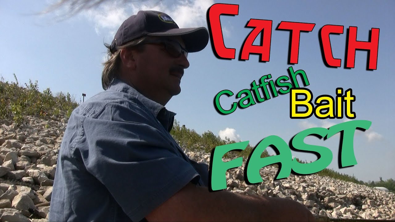 3 surefire baits for catching spring catfish