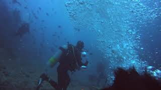 FIJI Tiger Shark Attack 2019 angle 2 斐济潜水被虎鲨攻击 角度2
