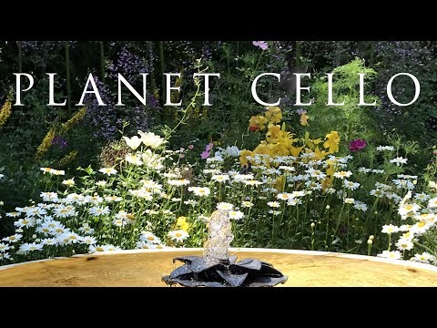 💖Planet Cello |  Power of Music | Best  Cello Melodies |