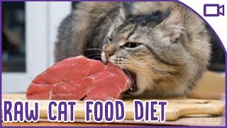 ... diet trends for humans are always coming and going, but what about
our furry friends? you might have seen...