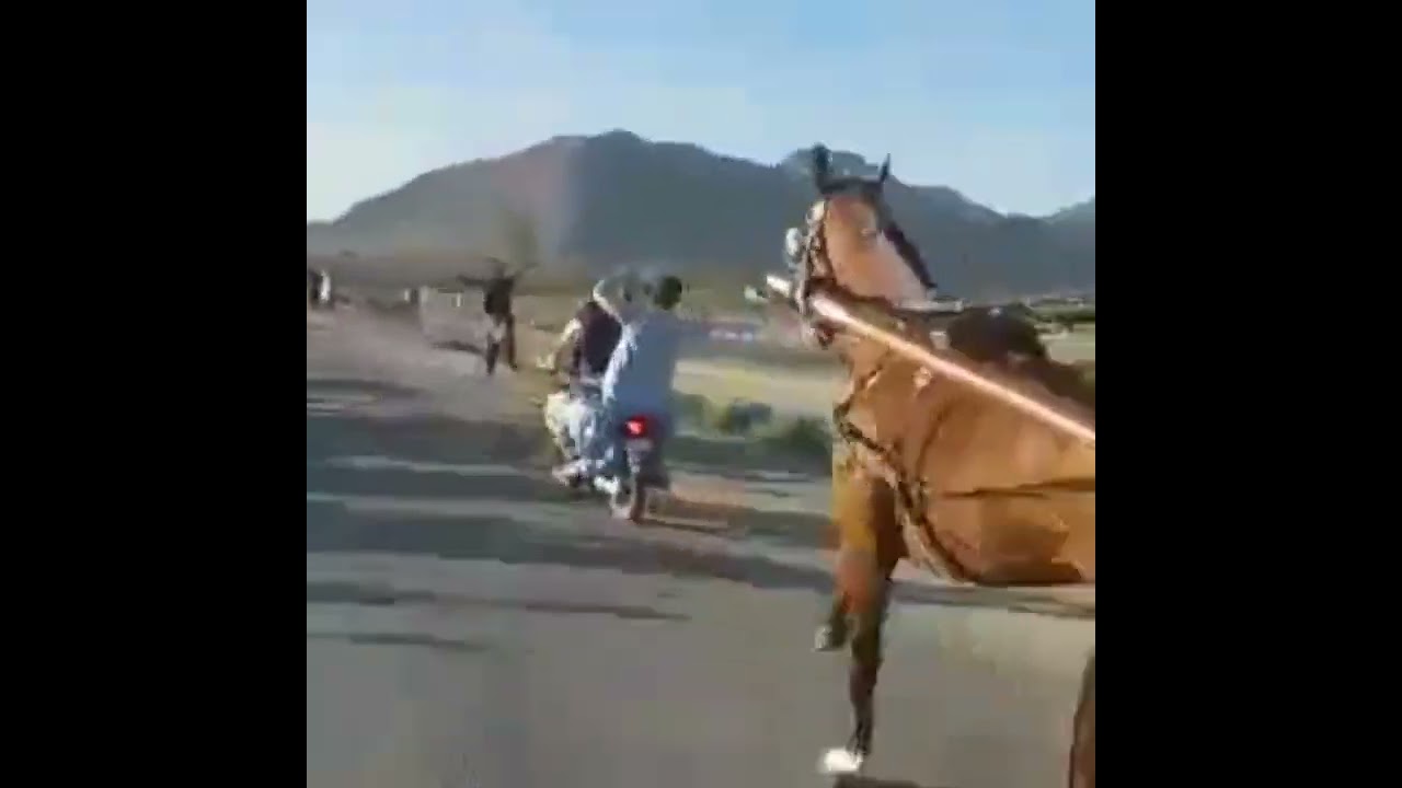 Quetta horse race shaheen win the race .