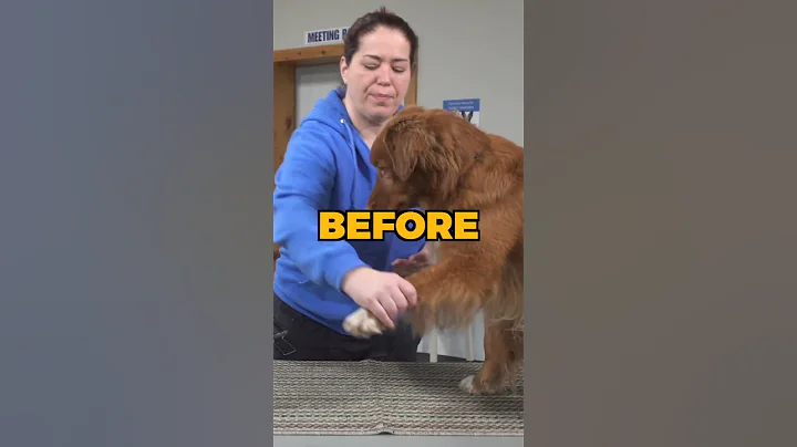 5 Tips To Make Dog Nail Trimming EASIER!