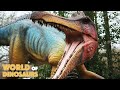 World of dinosaurs flythrough at paradise wildlife park