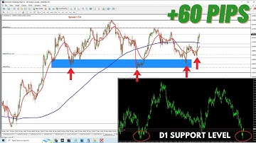 EUR USD +60 PIPS TRADE REVIEW D1 LOW SINCE 2016 - Support and Resistance Strategy