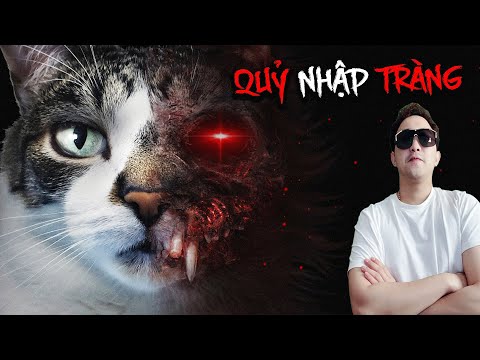 Video Câu chuyện có thật ĐỪNG để mèo nhảy qua xác người... - youtube