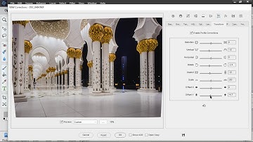 RAW Corrections: Transform (PSE 11+, Elements+)