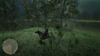 RDR 2 на PS5 VTBмир 2204 3602 0023 8507 caspi golg 4400 4300 7704 8152 донат по желанию