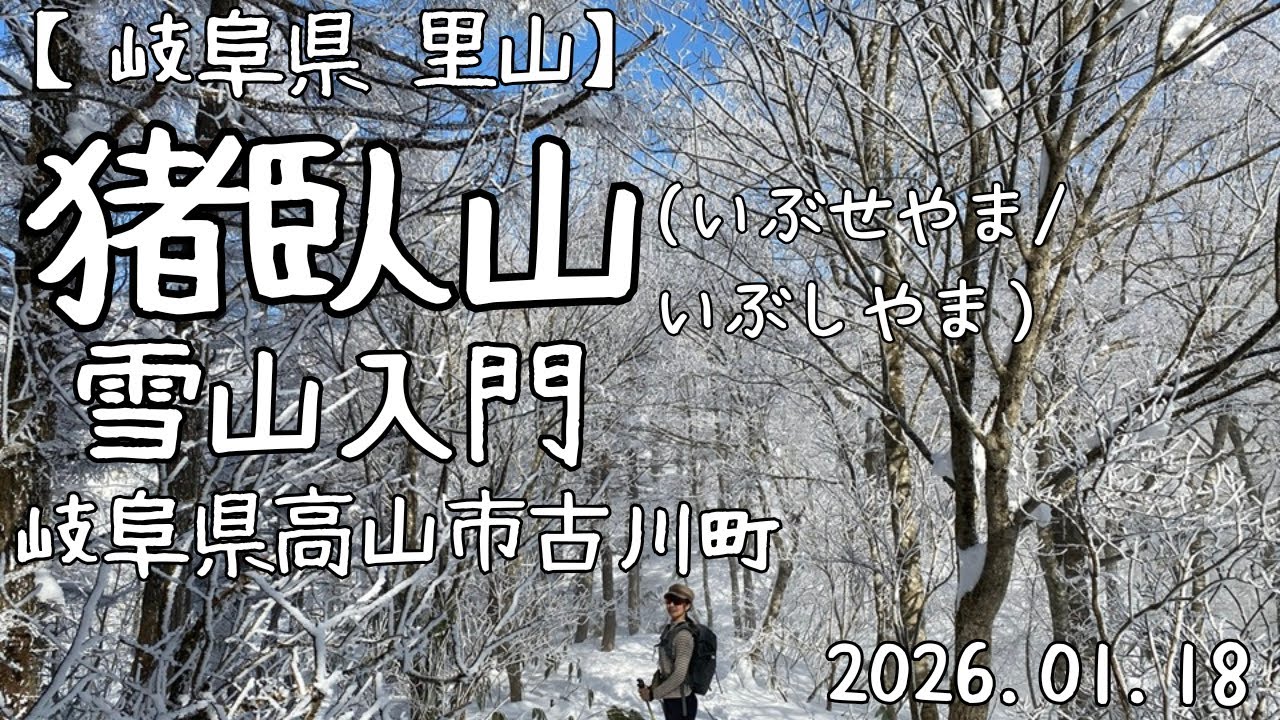 【岐阜県 里山】雪山入門 猪臥山（いぶせやま/いぶしやま）岐阜県高山市#雪山 #雪山登山 #登山