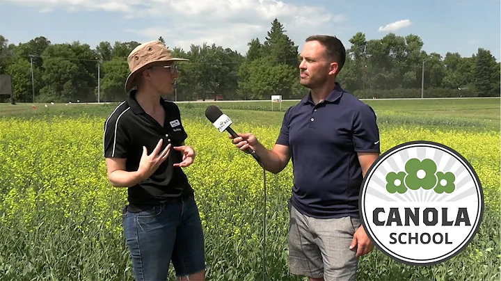 Canola School: Strategic fertilizer use requires attention to all 4Rs