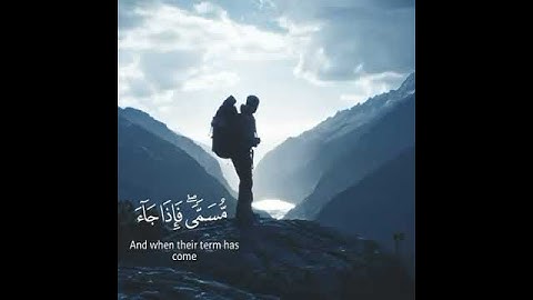 وَلَوْ يُؤَاخِذُ اللَّهُ النَّاسَ بِمَا كَسَبُوا | القارئ الرائع عبدالرحمن مسعد