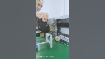 TallMan Robotics: Long Travel Rack&Pinion Drive Linear Modules