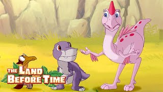 Figuring Out a Problem 🤔 | FULL EPISODE | The Land Before Time