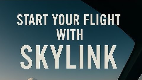 Your new Virtual AI Co- Pilot for MSFS 2020 & 2024