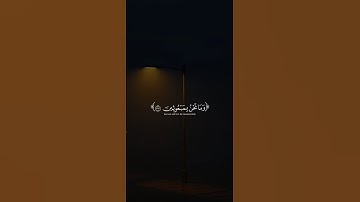 اكتب شيء تؤجر عليه 🤎🌱 - القارئ ياسر الدوسري