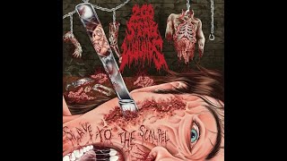 Ревью: 200 Stab Wounds "Slave To The Scalpel" (2021)