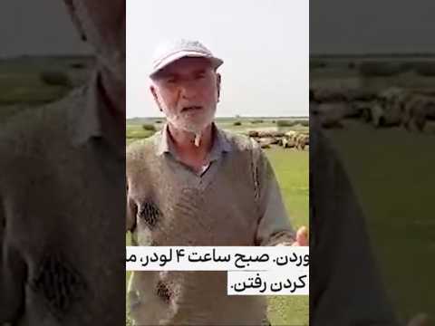 پتروشیمی غیرقانونی میانکاله مشغول به کار دامداران معترض و عصبانی