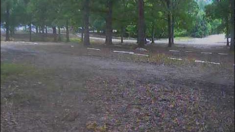 ZMR250, Fatshark V3 goggles. try to keep it low and out of the bows.