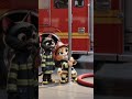 F is for Firefighter!! 🔥Astro & Shadow Race to the Rescue | Cartoon Cat Professions A-Z!