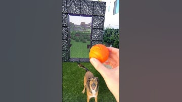 Fetch through a nether portal #blender #blender3d #vfxshorts