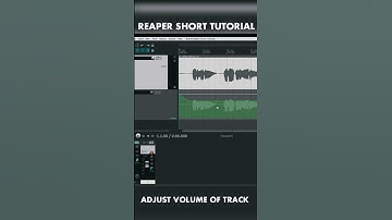 Adjust Volume of Tracks In Reaper | PC Records | #shorts #viralvideo #musicproduction #reaperdaw