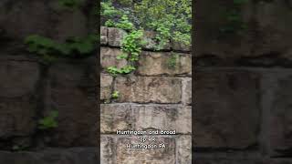 Huntingdon and Broad Top RR clip 2 #abandoned #huntingdonandbroadtop #railroad #trains