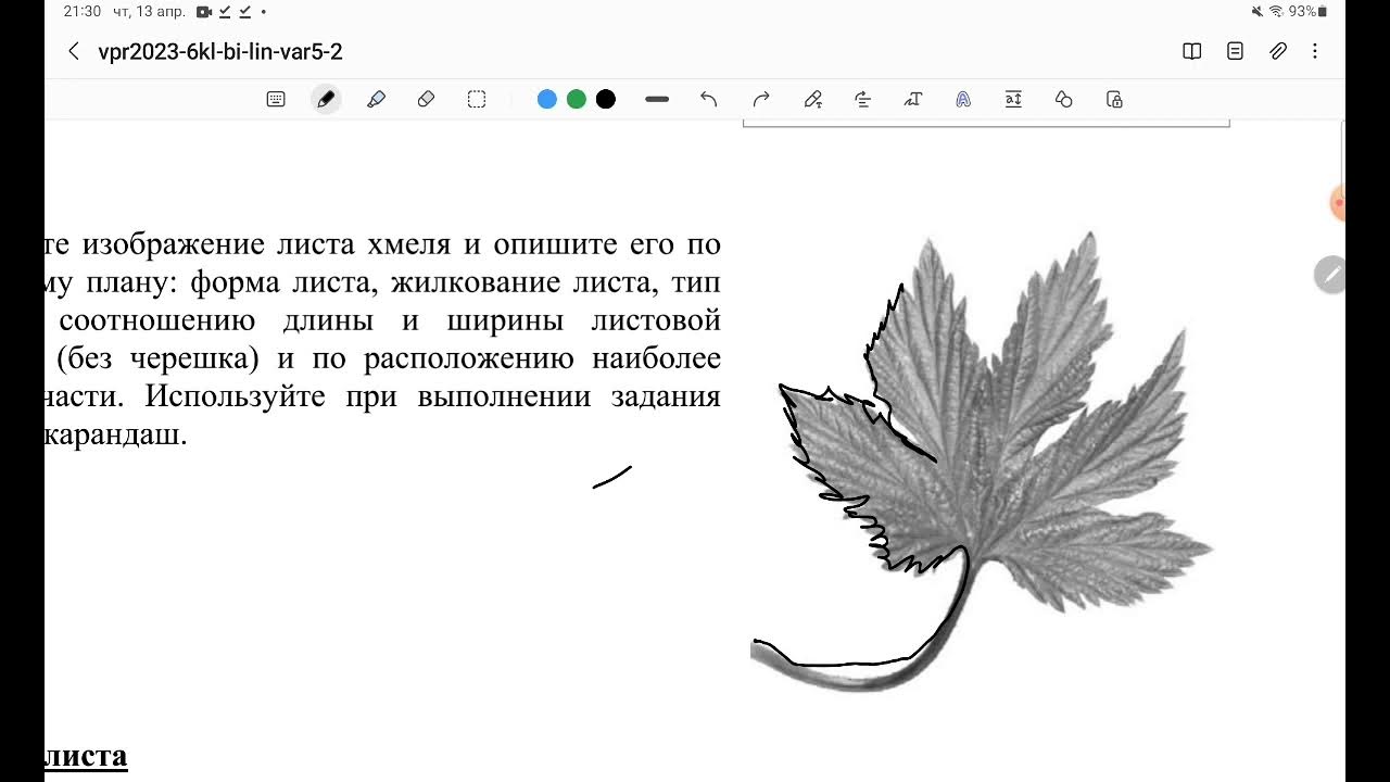 ВПР 6 класс разборы. ВМР по биологии 7 класс 2023. Разбор ВПР по биологии 7 класс 2023. Форма листа ВПР по биологии 6.