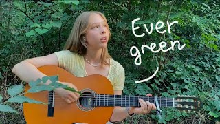 evergreen - richy mitch & the coal miners // acoustic cover