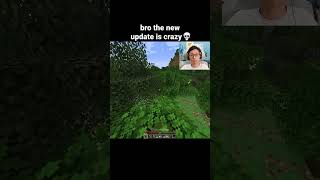 Minecraft Leaf Litter Moment
