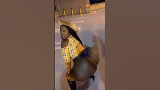 Zmeenaorr 2 Min Twerking | Compilation