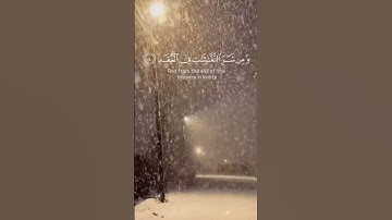 تلاوة خاشعة للشيخ ماهر المعيقلي سورة الفلق #اكسبلور #راحة_نفسية #دويتو