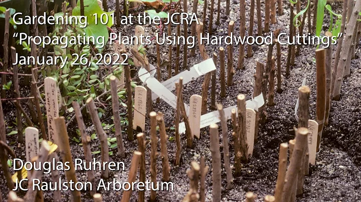 "Propagating Plants Using Hardwood Cuttings"
