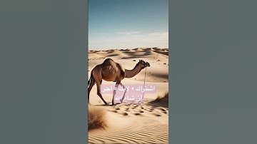 فرجع موسى الى قومه غضبان أسفا #القارئ_شريف_مصطفى #شريف_مصطفى #الذكاء_الاصطناعي #اكسبلور #المصحف