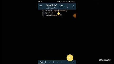 print и input стартовые команды | туториал по Python #1
