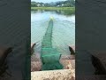 #fishing