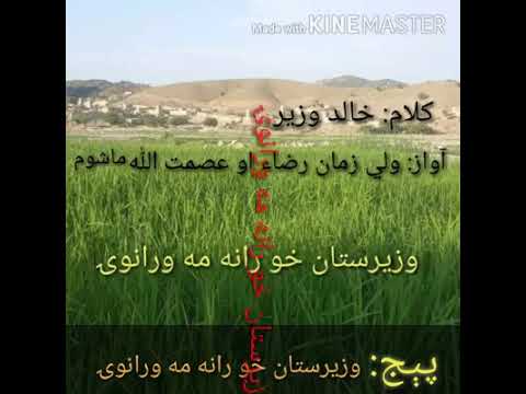 شاعر خالد وزير آواز ولي زمان رضاﺀ او عصمت الل ه ماشوم