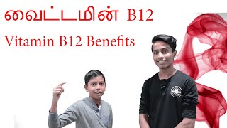 வைட்டமின் B12 ஏன் தேவை? எந்த உணவில் அதிகம் உள்ளது? |Vitamin B12 (Cobalamin) Benefits | VelBros Tamil