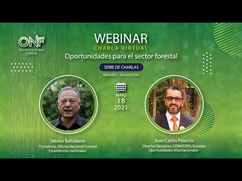 Vídeo: Comprender Las Implicaciones De La Regulación EU-LULUCF Para El Suministro De Madera De Los Bosques De La UE A La UE