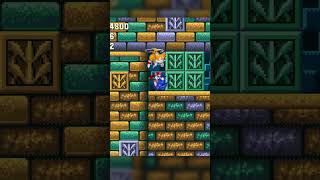 Vinny spin dashes through the wall accidentally
