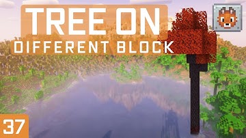 NeoForge Modding Tutorial - Minecraft 1.21.1: Tree On Different Block | #37