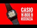 Casio W-800 H - recenzja