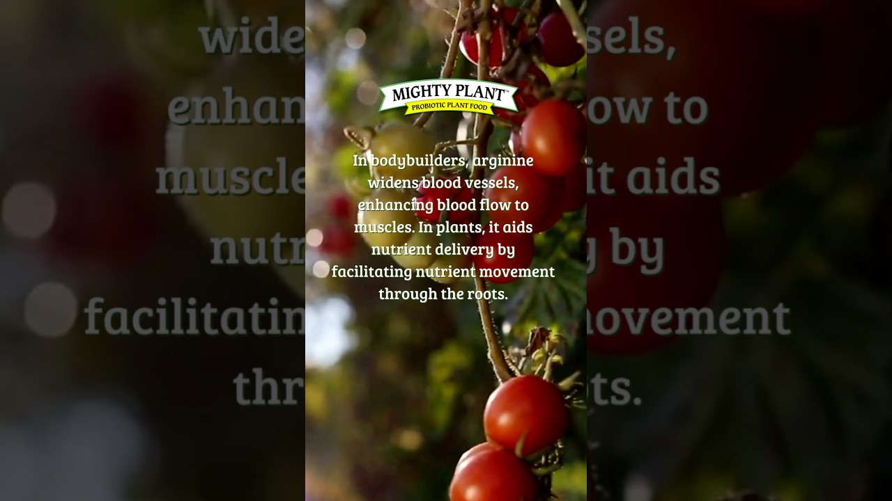 Increase yield with more blooms on your flowering plants with arginine packed plant food 💪🏼🌱