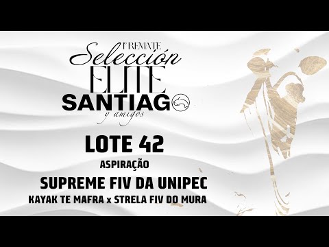 Lote 42   Supreme FIV da Unipec