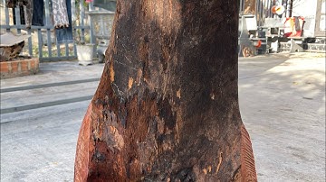 GL gốc hương đá krôngpa đặc tịt tinh lõi 60kg kt trong vd đục tiện đều OK giá lh033.891.8991 TGQ