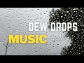 موسيقة قطرات الندى الأكثر استرخاءً وجمالاً – Dew Drops Music